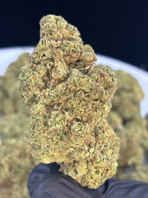 Close-up of cannabis flower bud covered in golden trichomes, held in hand against dark background